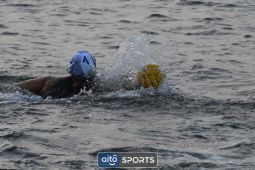 DSC_2226.jpg